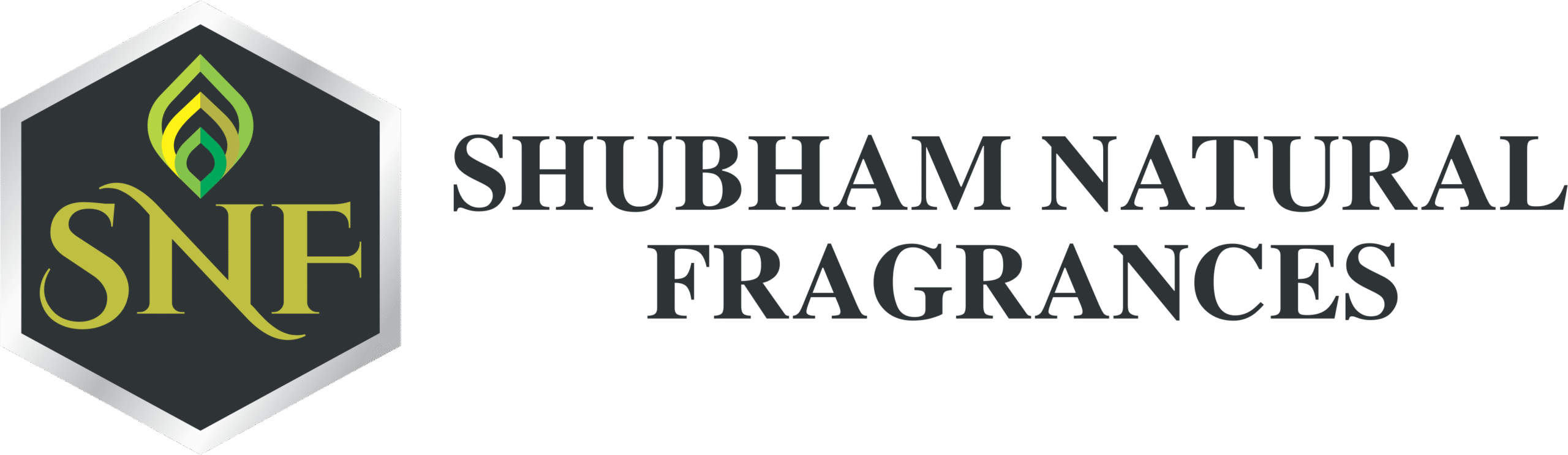 SNF Logo min
