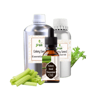 13 Celery Seed min