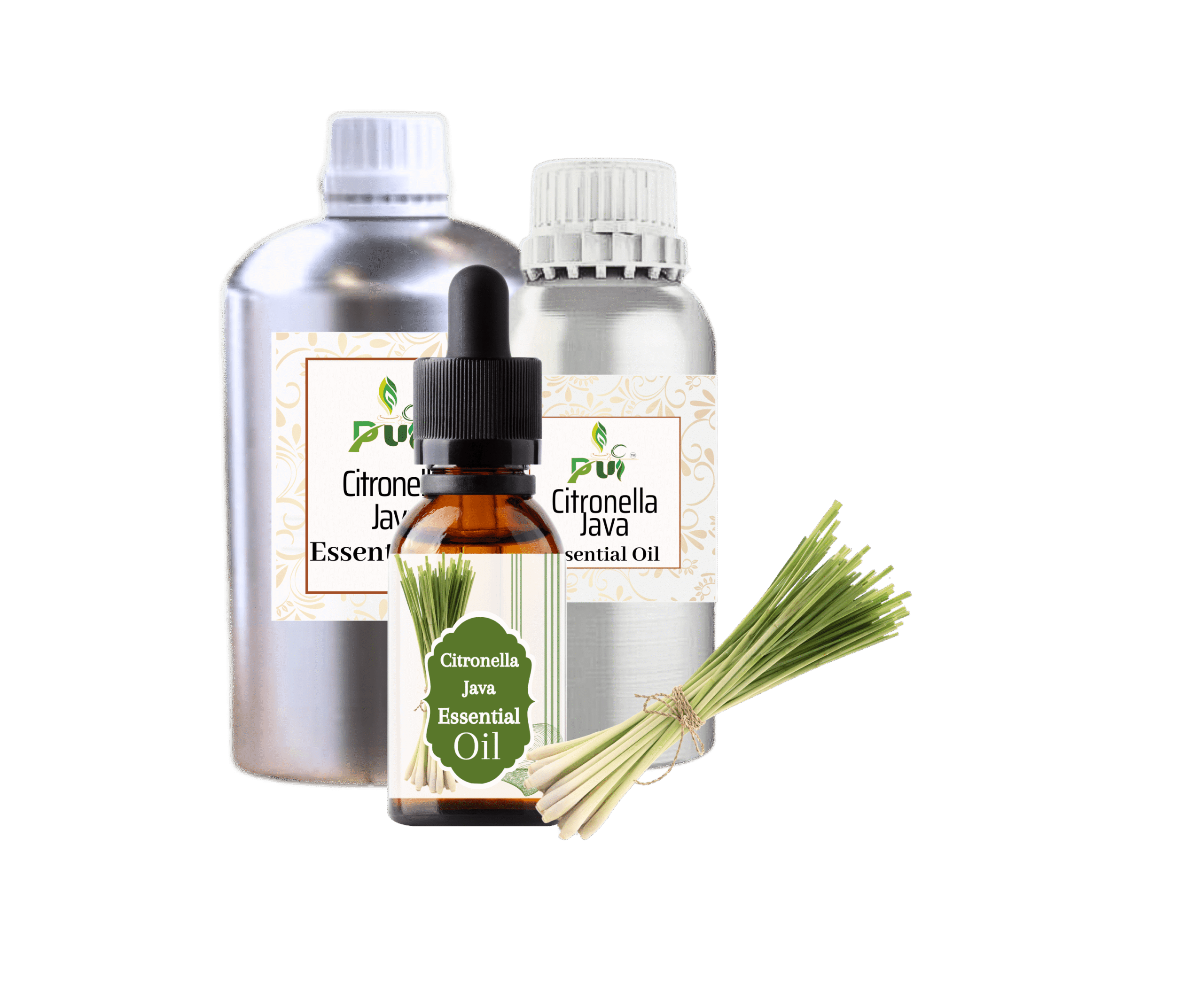 16 Citronella Java min