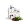 16 GREEN TEA Cosmetic fragrances min
