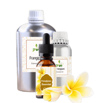 Frangipani min