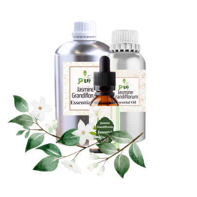 Jasmine Grandiflorum min