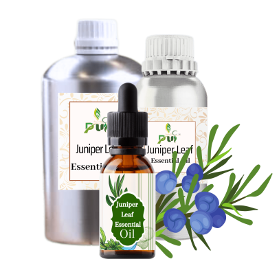 Juniper Leaf min