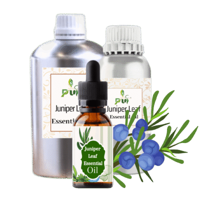 Juniper Leaf min