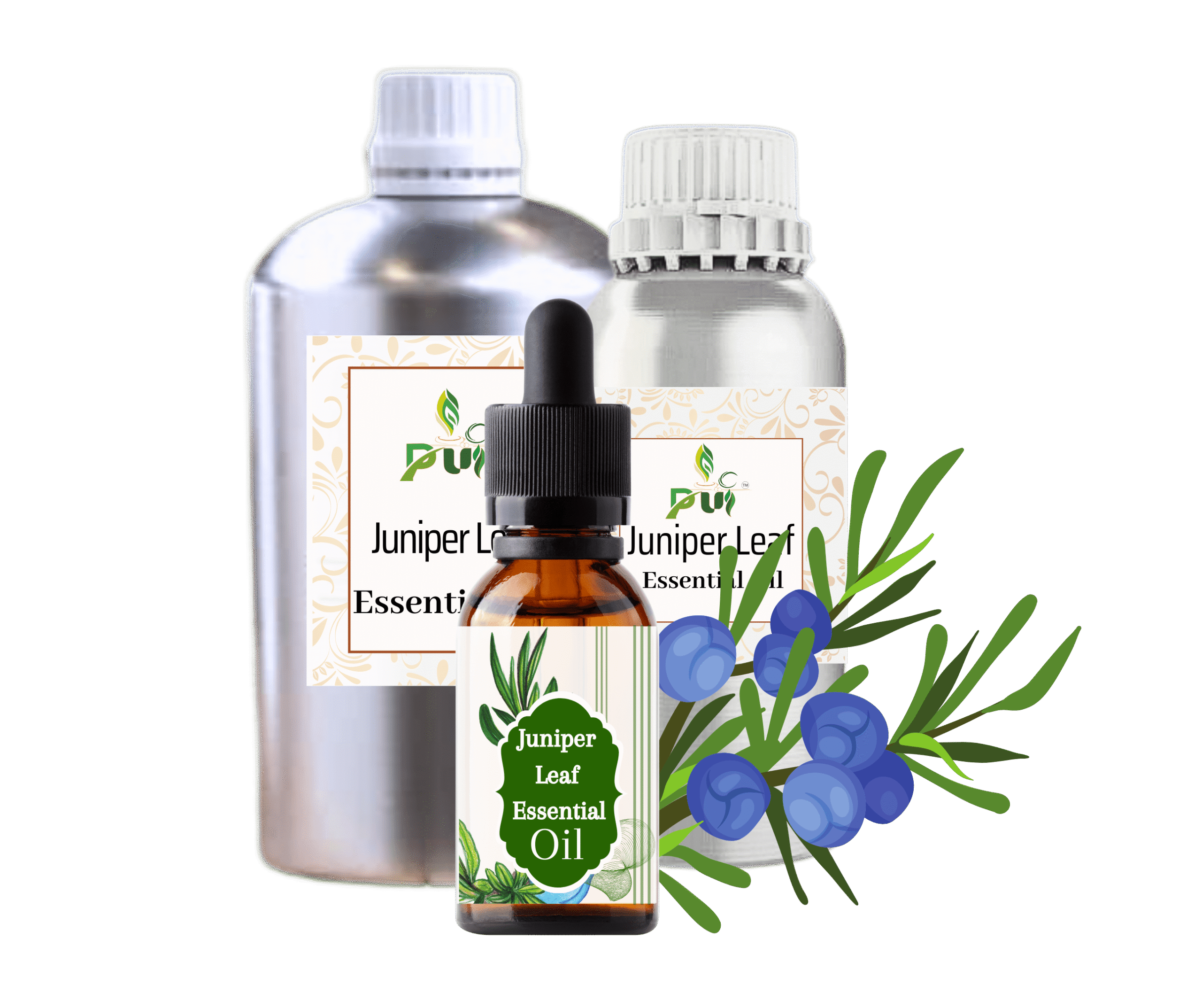 Juniper Leaf min