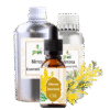 Mimosa min