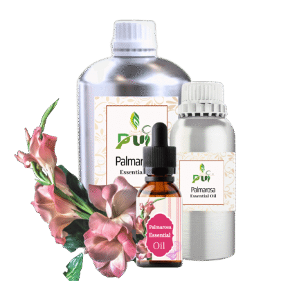 Palma Rosa min