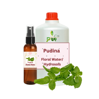 Pudina Water min