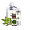 Tamanu Oil