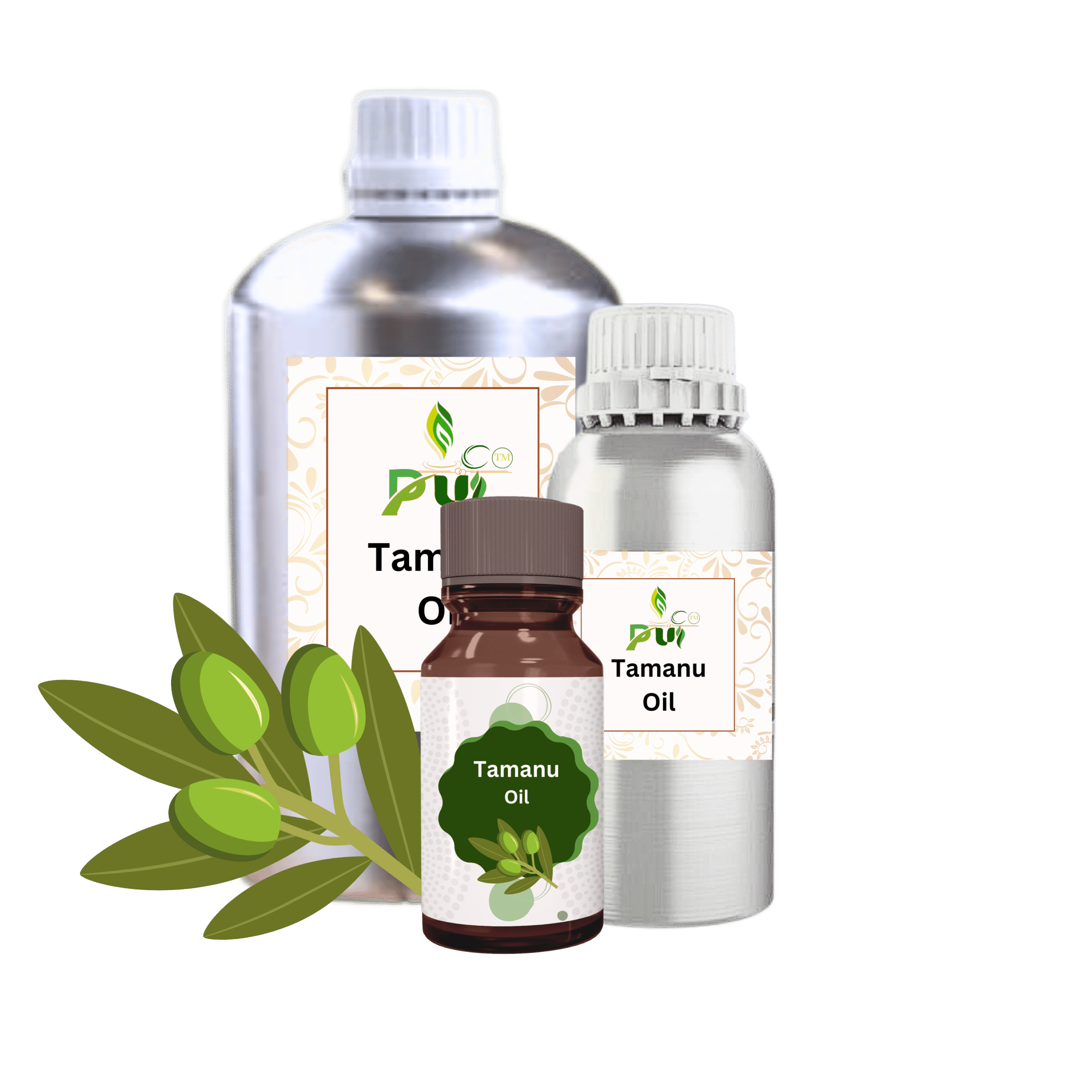 Tamanu Oil