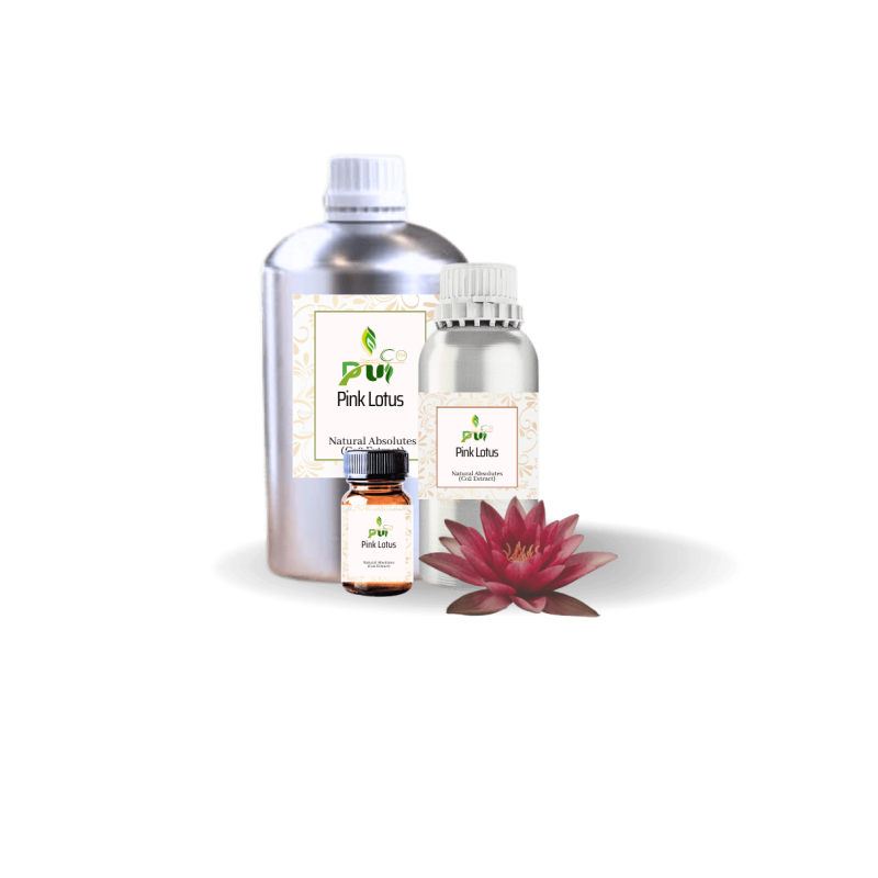 Pink Lotus Absolute min