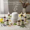 best essential oils supplier in Kannauj